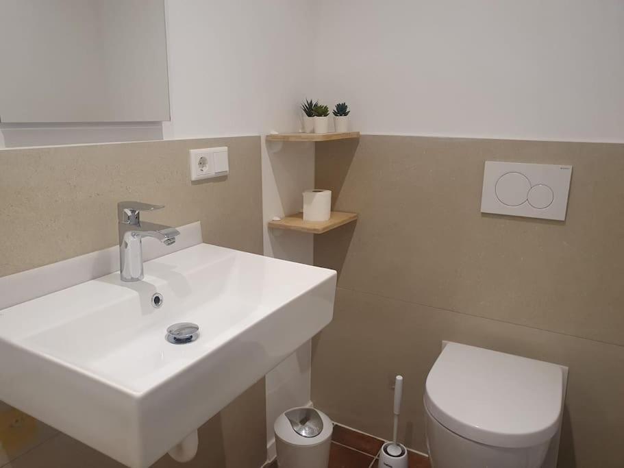 Apartment-Top Lage Koeln Hürth 외부 사진
